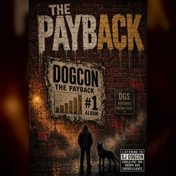 The Payback album cover